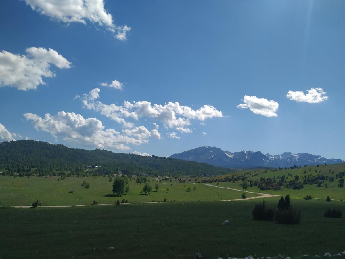 Mountain Soul Rest Villa Žabljak Eksteriør billede