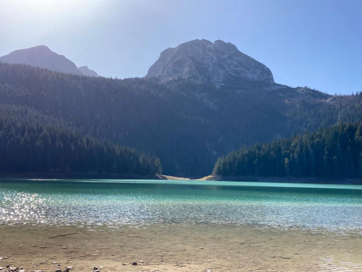 Mountain Soul Rest Villa Žabljak Eksteriør billede