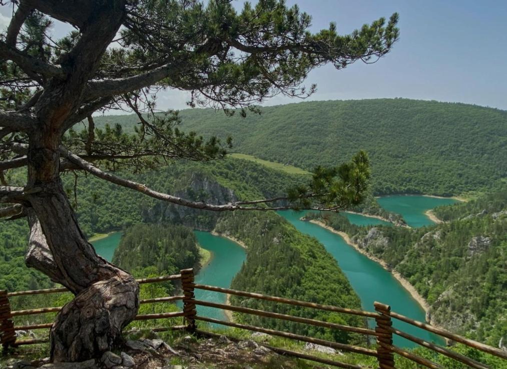 Mountain Soul Rest Villa Žabljak Eksteriør billede