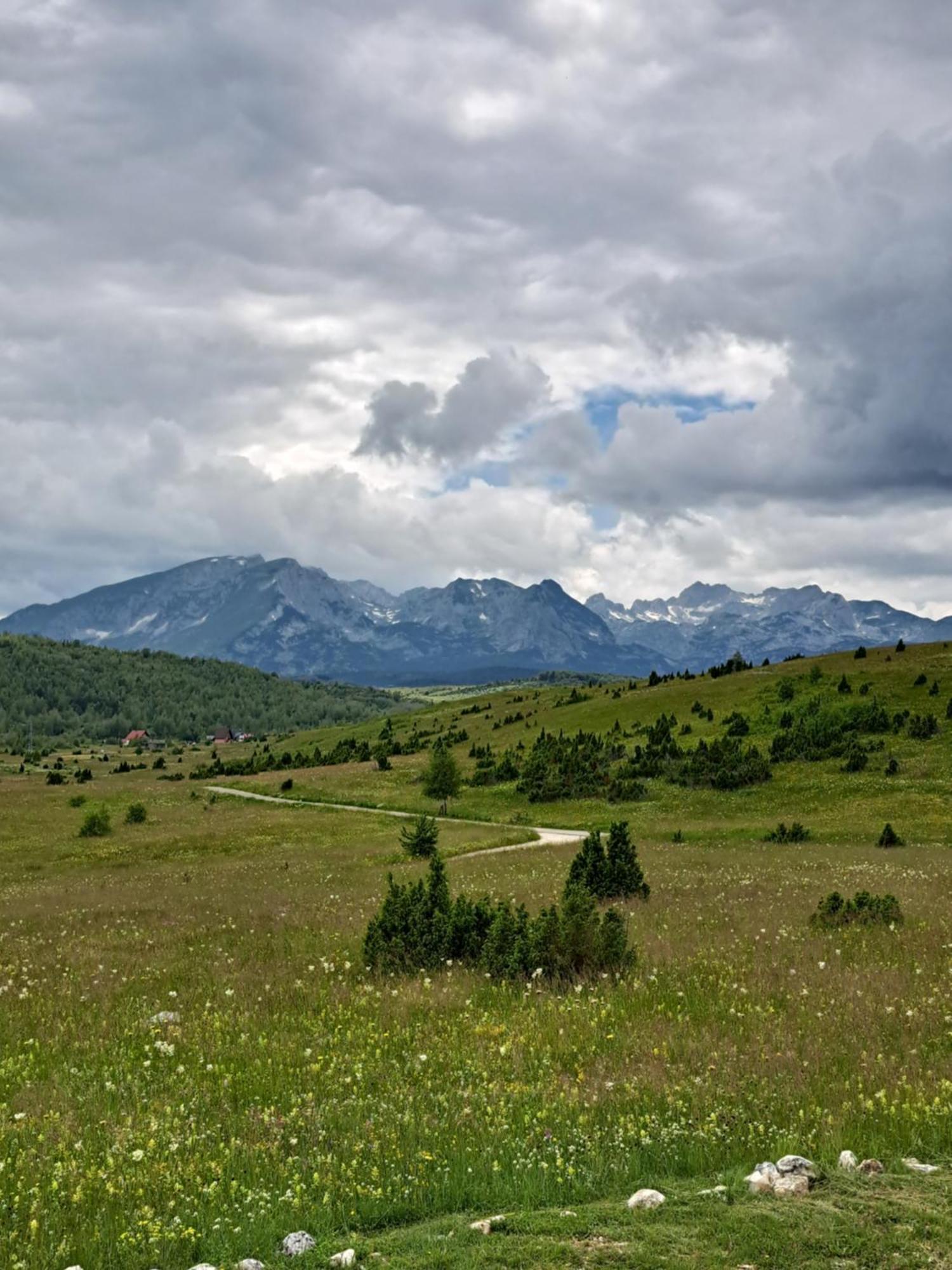 Mountain Soul Rest Villa Žabljak Eksteriør billede